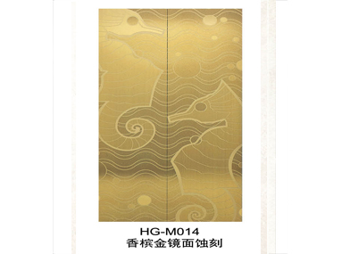装潢电梯门HG-M014