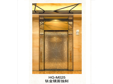 装潢电梯门HG-M025